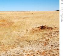 An area of the Santa Fe trail where cuts in the earth show the path of wagon wheels