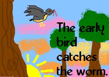 Early bird �����ȵ�