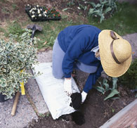 Gardening