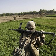 US Marines move in formation through farm fields after landing by helicopter in overnight air assault near Taliban stronghold of Nawa, Helmand province, 2 Jul 2009