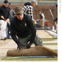 A worker lays sod in Wrigley Field in Chicago during improvements made in 2007