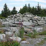 Along a trail on Spruce Knob
