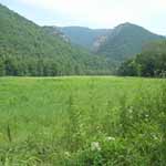 Seneca Rocks in distance