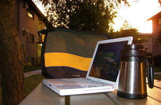 数字游民 digital nomad