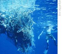 A mass of waste found off the coast of Hawaii in 2002