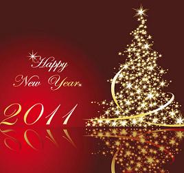 Chinese New Year 2011.jpg