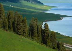 China has made great efforts during the past five years promoting environmental protection.