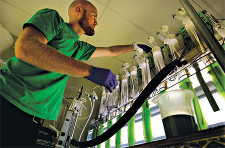 The business of creating life