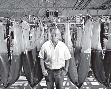 The business of creating life