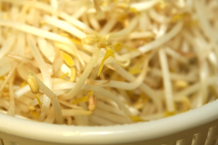 10种蔬菜帮你认个遍:豆芽篇