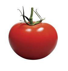 ʮʳƷ